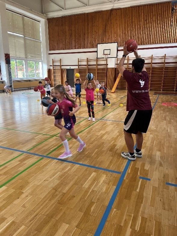 basket_25_26_3