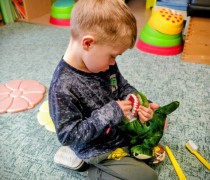 Motýlci - dentální hygiena