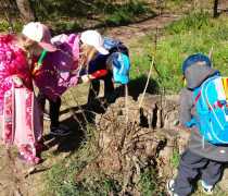 IMG-20260504-WA0025