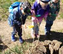 IMG-20260504-WA0028