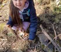 IMG-20260504-WA0029