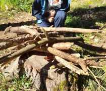 IMG-20260504-WA0032