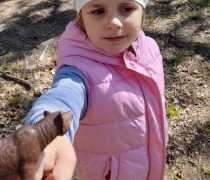 IMG-20260504-WA0033
