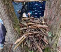 IMG-20260507-WA0001