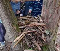 IMG-20260507-WA0004