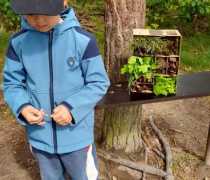 IMG-20260507-WA0005