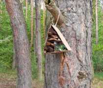 IMG-20260507-WA0006
