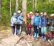 IMG-20260507-WA0009