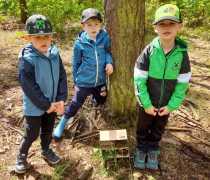 IMG-20260507-WA0010