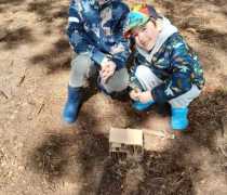 IMG-20260507-WA0013