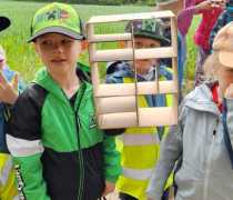 IMG-20260507-WA0019
