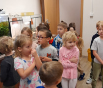 Motýlci - návštěva ZŠ