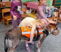 Motýlci - Pejsek je můj kamarád II.