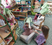 Motýlci - povolání