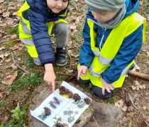 PHOTO-2026-04-17-09-52-20