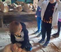 IMG-20260520-WA0007