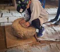 IMG-20260520-WA0008