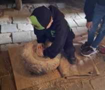 IMG-20260520-WA0009