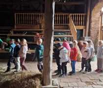 IMG-20260520-WA0015