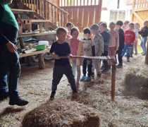 IMG-20260520-WA0016