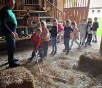 IMG-20260520-WA0018
