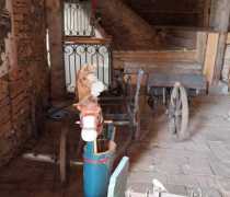 IMG-20260520-WA0020