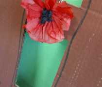 IMG-20260415-WA0007