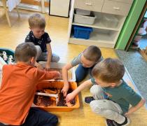 IMG-20260604-WA0029