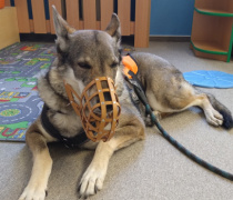 IMG_20260327_093759997