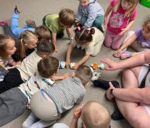 IMG-20260512-WA0014