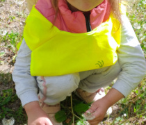 IMG_20260506_102116617_BURST001_COMP