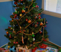 IMG_20251217_100001993_HDR