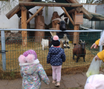 IMG_20251201_092902759_HDR