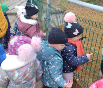 IMG_20251201_092954990_HDR