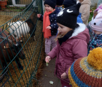 IMG_20251201_093028547_HDR