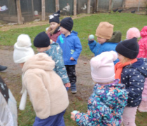 IMG_20251201_093716672_HDR