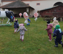 IMG_20251201_094005702