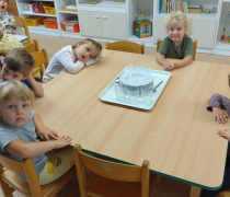 IMG_20250917_095237892_BURST000_COVER
