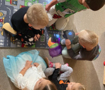 Sluníčka - zkoumáme