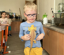 IMG_7010