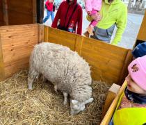 Sovičky - výlet na náměstí